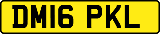 DM16PKL