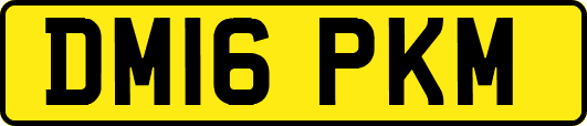 DM16PKM