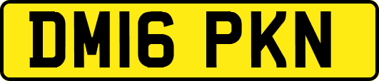DM16PKN
