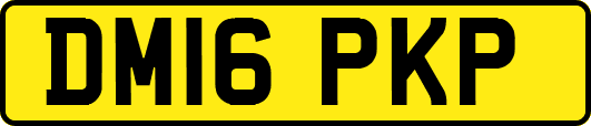DM16PKP