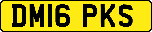 DM16PKS