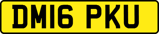 DM16PKU