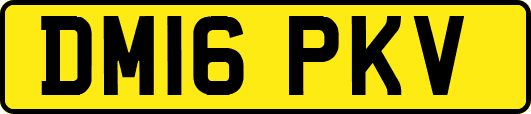 DM16PKV