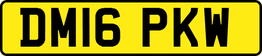 DM16PKW