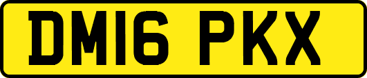 DM16PKX