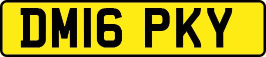DM16PKY