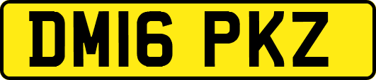 DM16PKZ