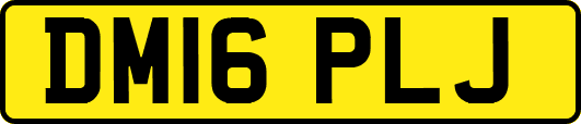 DM16PLJ