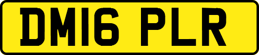 DM16PLR