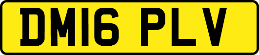 DM16PLV