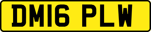 DM16PLW