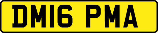 DM16PMA