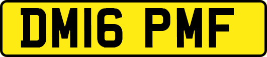 DM16PMF