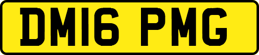 DM16PMG