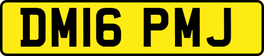 DM16PMJ