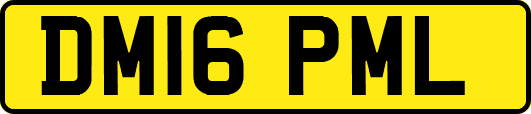 DM16PML