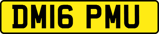 DM16PMU