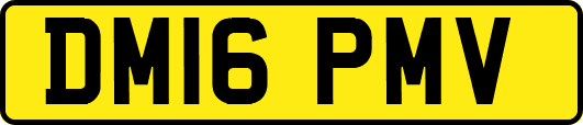 DM16PMV