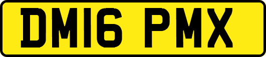 DM16PMX