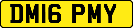 DM16PMY