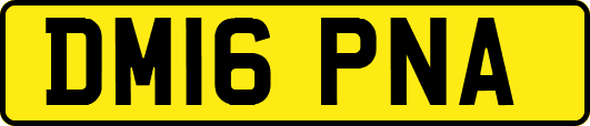 DM16PNA