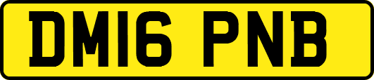 DM16PNB