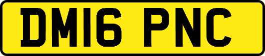 DM16PNC