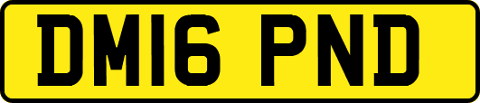DM16PND