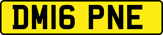 DM16PNE