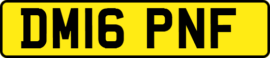 DM16PNF