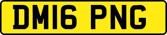 DM16PNG