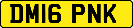 DM16PNK