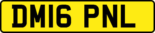 DM16PNL