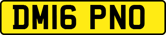 DM16PNO