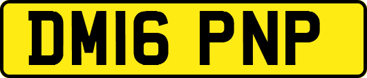 DM16PNP