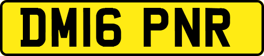 DM16PNR