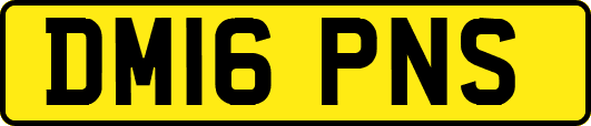DM16PNS