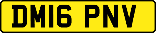 DM16PNV