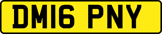 DM16PNY