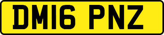 DM16PNZ