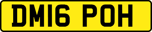 DM16POH