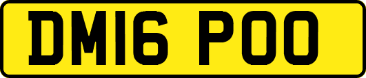 DM16POO