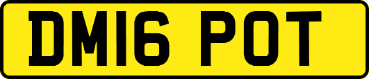 DM16POT