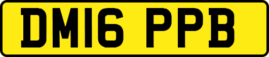 DM16PPB