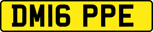 DM16PPE