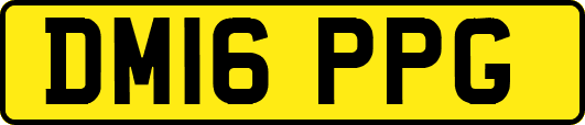 DM16PPG
