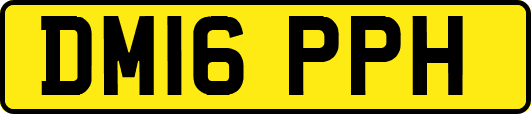 DM16PPH