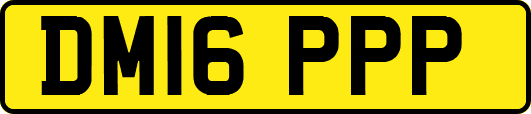 DM16PPP