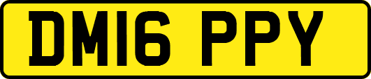 DM16PPY