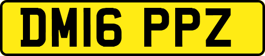 DM16PPZ